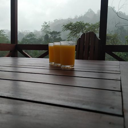 Sinharaja Forest Gate Deniyaya Ngoại thất bức ảnh