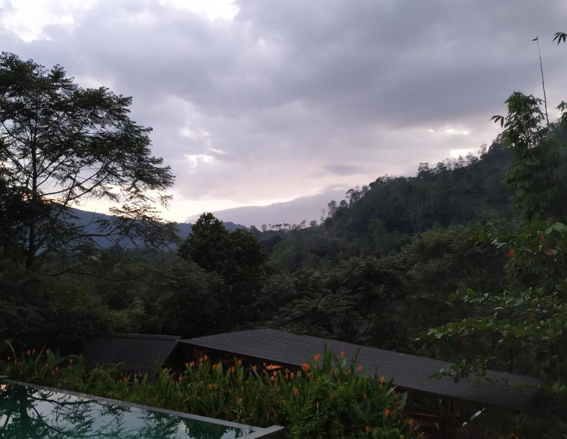 Sinharaja Forest Gate Deniyaya Ngoại thất bức ảnh