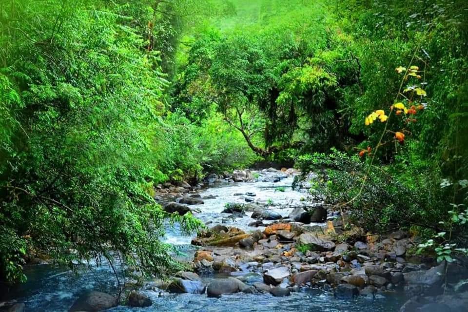 Sinharaja Forest Gate Deniyaya Ngoại thất bức ảnh