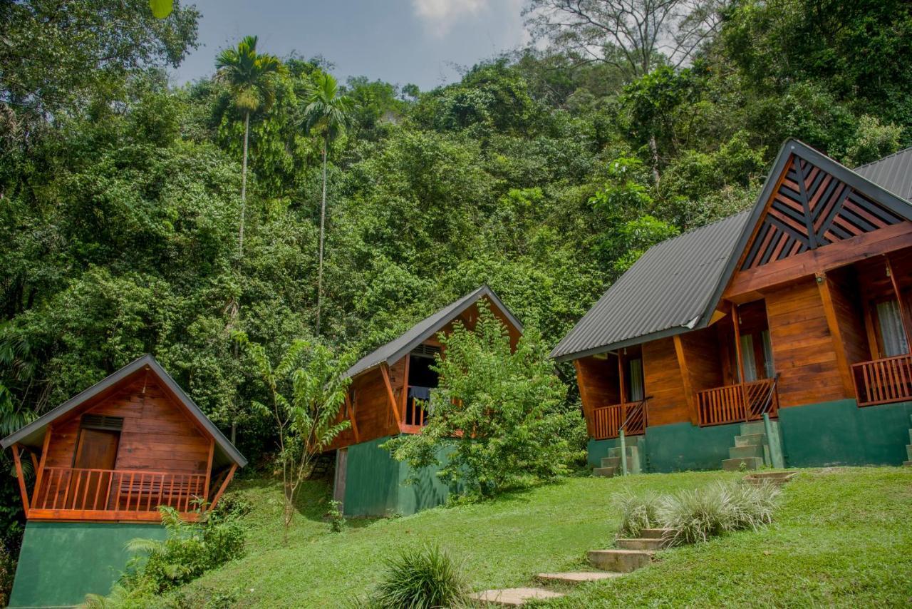 Sinharaja Forest Gate Deniyaya Ngoại thất bức ảnh