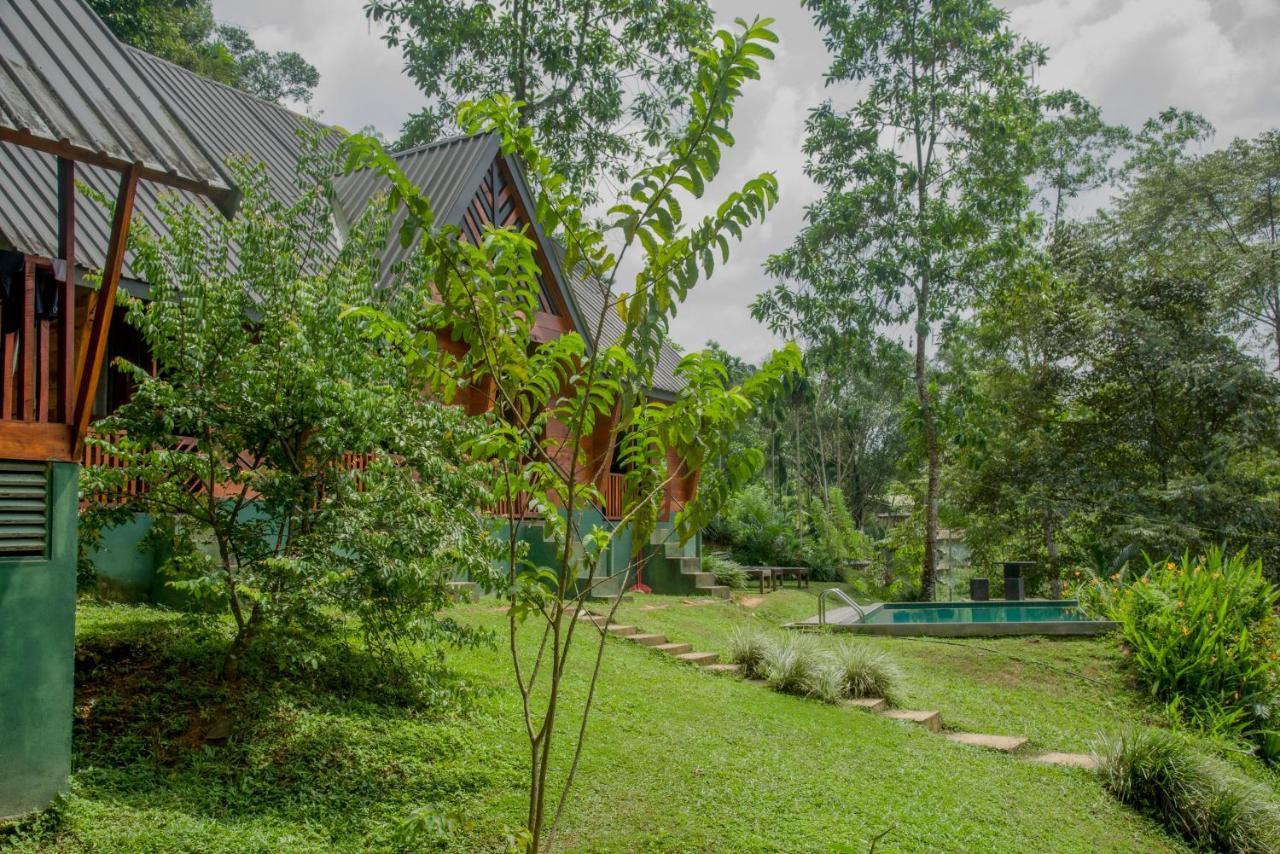 Sinharaja Forest Gate Deniyaya Ngoại thất bức ảnh