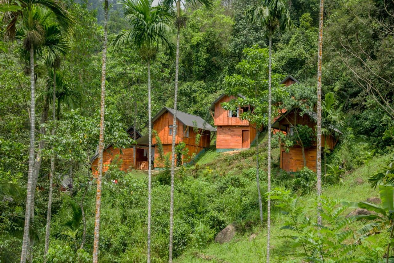 Sinharaja Forest Gate Deniyaya Ngoại thất bức ảnh