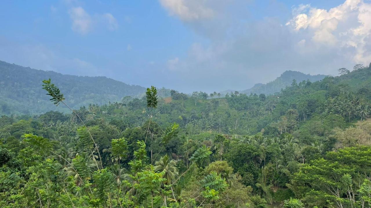 Sinharaja Forest Gate Deniyaya Ngoại thất bức ảnh