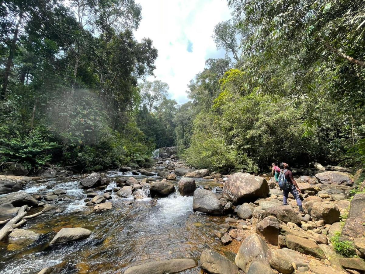 Sinharaja Forest Gate Deniyaya Ngoại thất bức ảnh