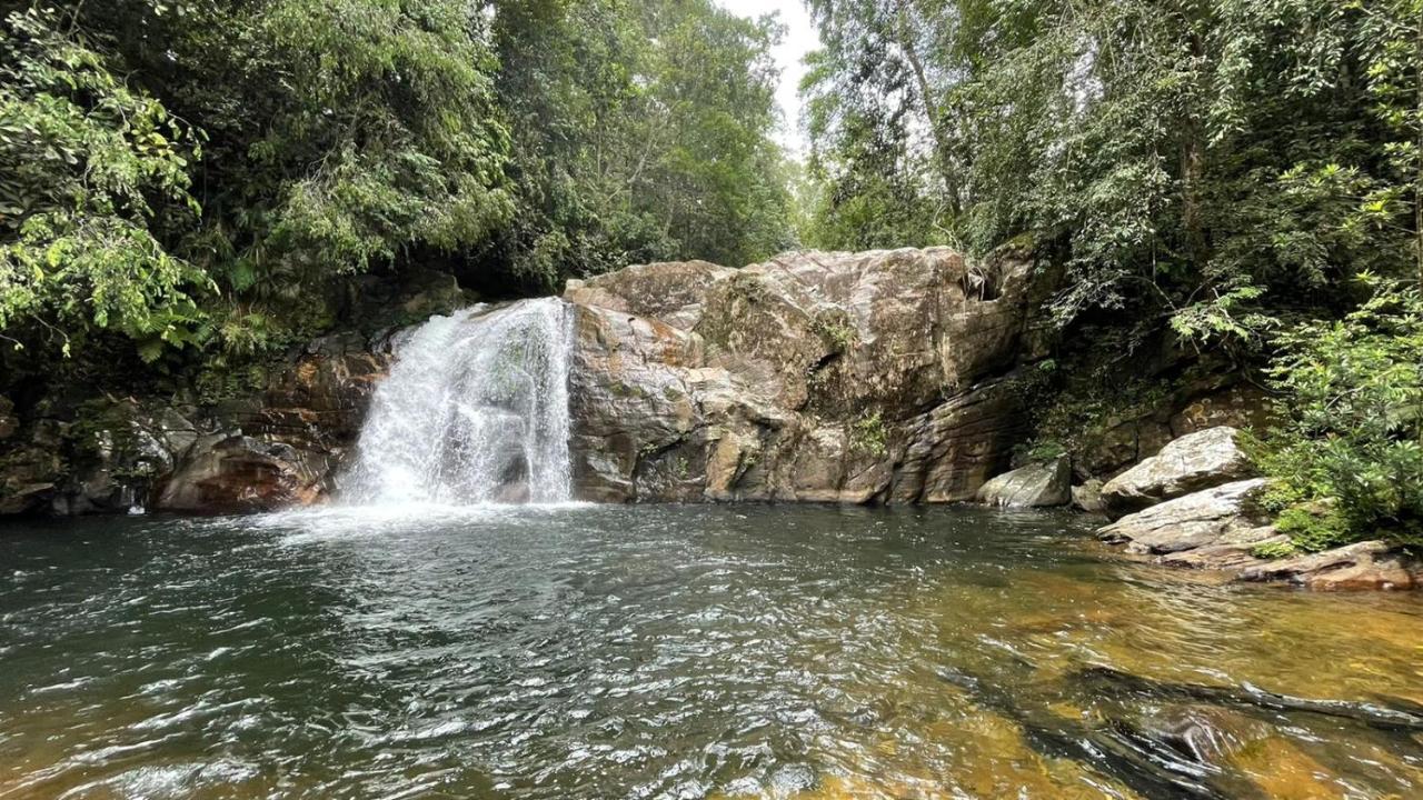 Sinharaja Forest Gate Deniyaya Ngoại thất bức ảnh