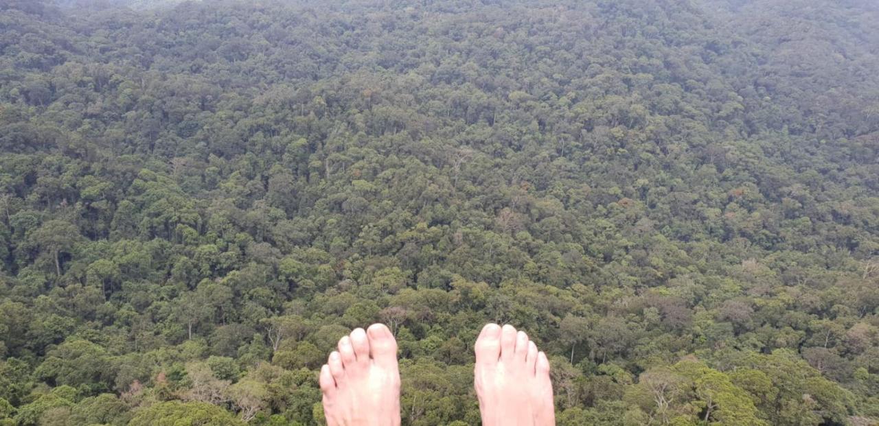 Sinharaja Forest Gate Deniyaya Ngoại thất bức ảnh