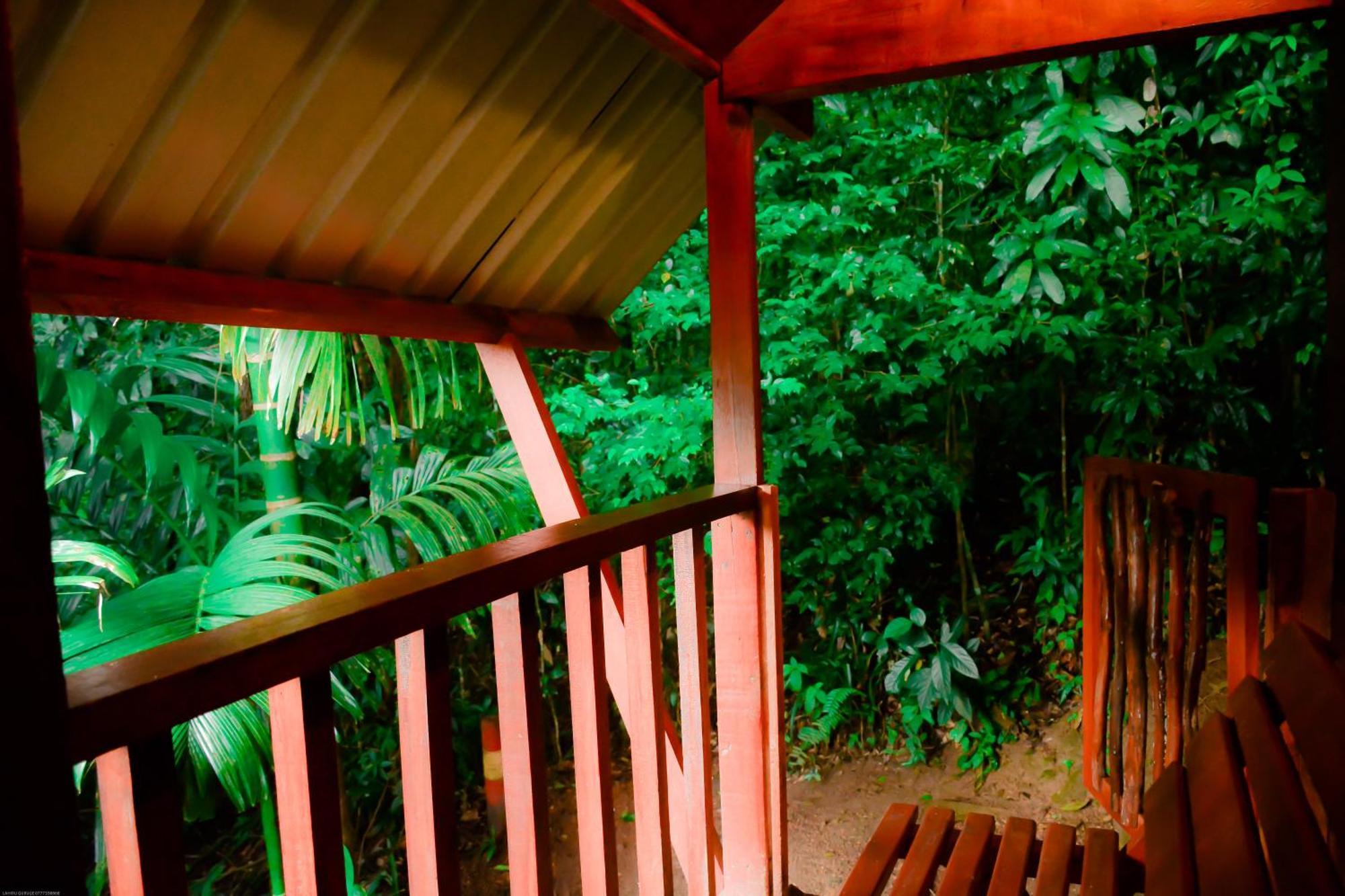 Sinharaja Forest Gate Deniyaya Ngoại thất bức ảnh