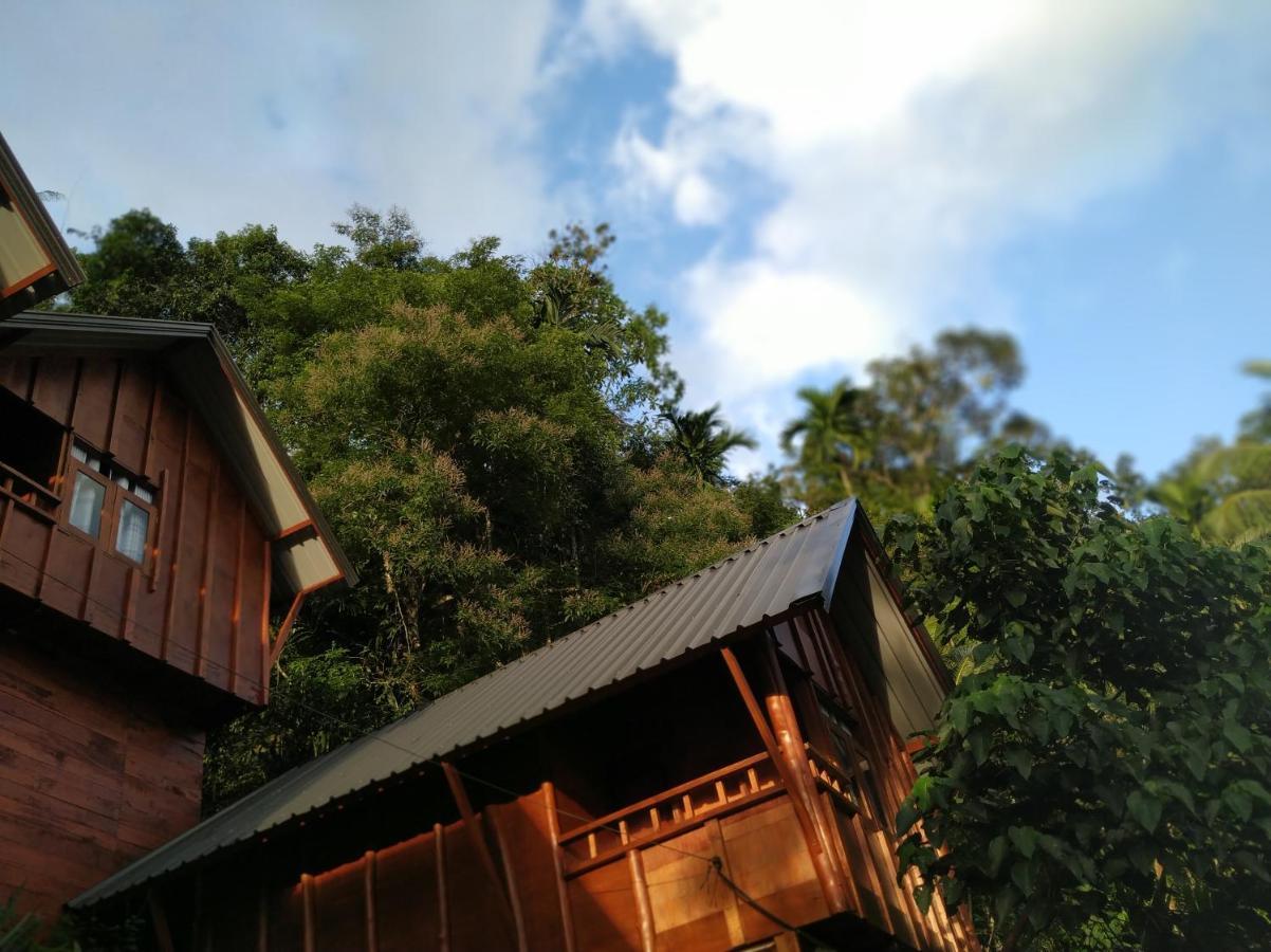 Sinharaja Forest Gate Deniyaya Ngoại thất bức ảnh